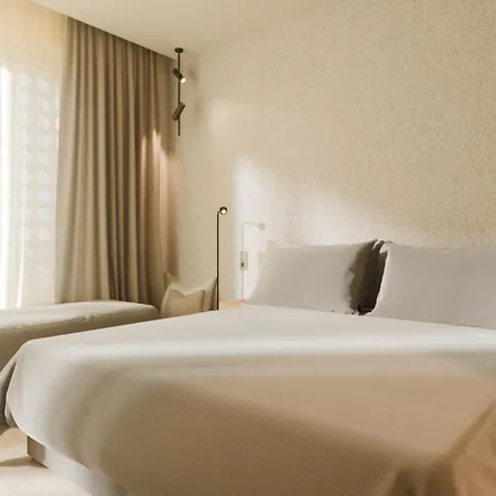 Taro Cruz Santa Cruz de Tenerife